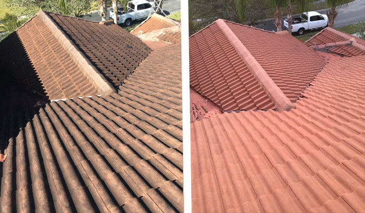 Roof Cleaning